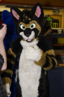 MNFurs Bowling Feb 20 2016-008 