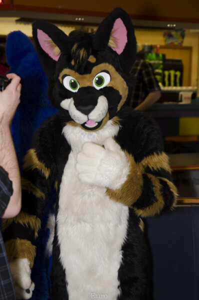 MNFurs Bowling Feb 20 2016-008