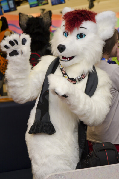 MNFurs Bowling Feb 20 2016-020