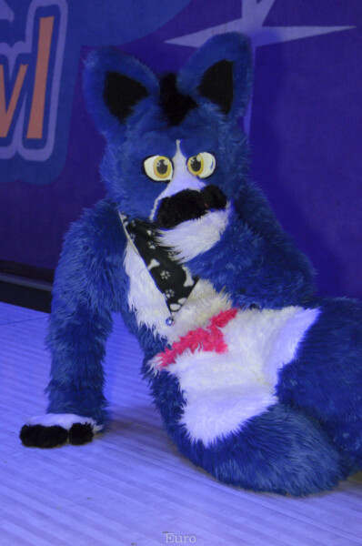 MNFurs Bowling Feb 20 2016-041