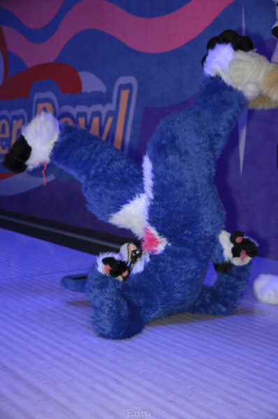 MNFurs Bowling Feb 20 2016-045