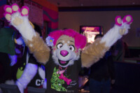 MNFurs Bowling Feb 20 2016-054 