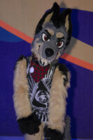 MNFurs Bowling Feb 20 2016-060 