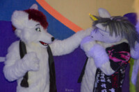 MNFurs Bowling Feb 20 2016-064 
