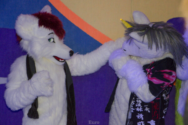 MNFurs Bowling Feb 20 2016-064