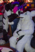 MNFurs Bowling Feb 20 2016-108 