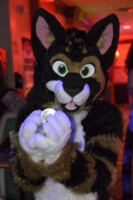 MNFurs Bowling Feb 20 2016-120 