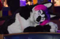 MNFurs Bowling Feb 20 2016-122 