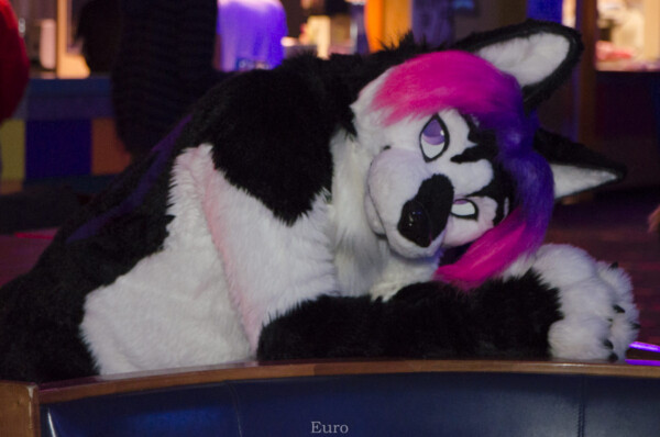 MNFurs Bowling Feb 20 2016-122