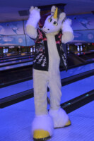 MNFurs Bowling Feb 20 2016-150 