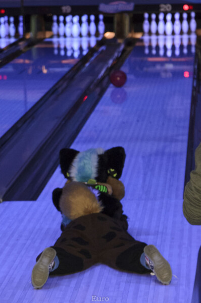MNFurs Bowling Feb 20 2016-163