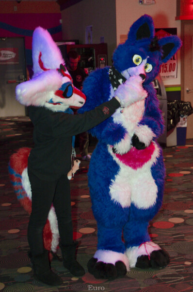 MNFurs Bowling Feb 20 2016-193