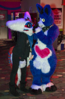 MNFurs Bowling Feb 20 2016-194 
