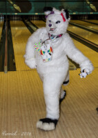 002_IMG_2622 