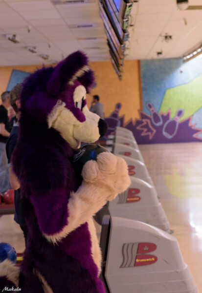 005_M7D_2996
