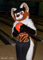 006_IMG_2526 