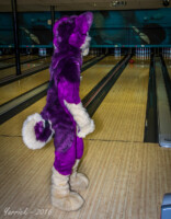 010_IMG_2552 
