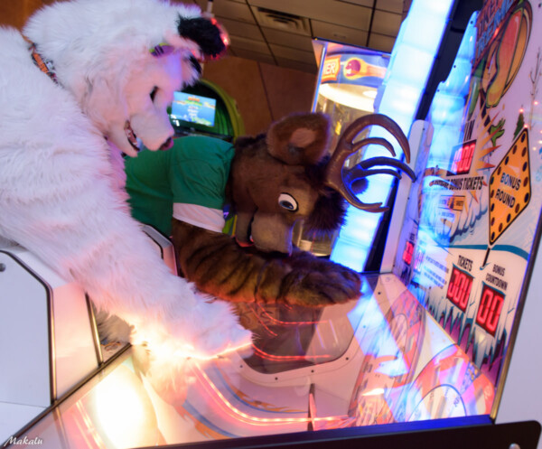 011_M7D_3067