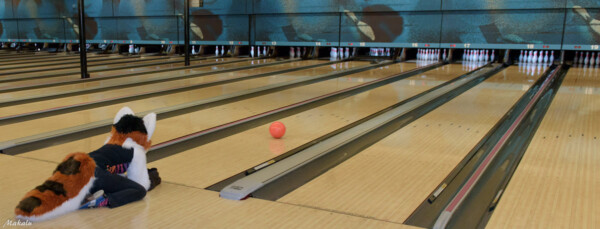 013_M7D_2911