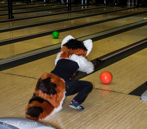017_IMG_2542