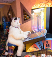 036_M7D_3055 