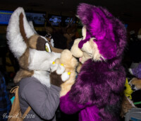 039_IMG_2505 