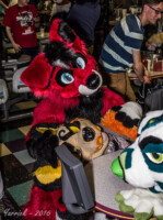 049_IMG_2546 