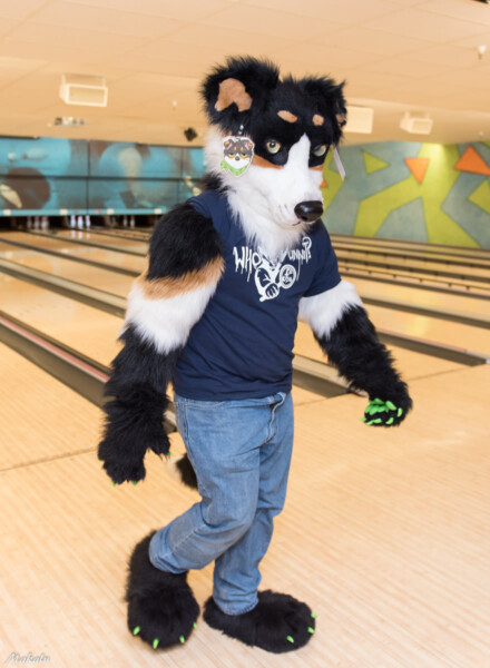 074_M7D_3152