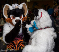 086_IMG_2601 