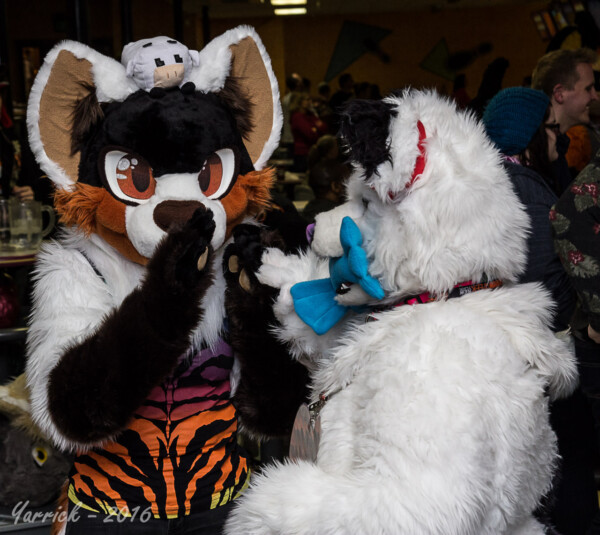 086_IMG_2601