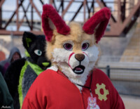 011_M7D_2655 