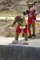 013_Fursuit Romp Mar 19 2016-479 