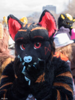 014_M7D_2714 