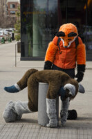 015_Fursuit Romp Mar 19 2016-076 