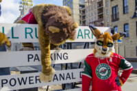 019_Fursuit Romp Mar 19 2016-630 