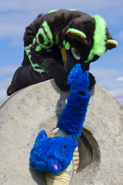 023_Fursuit Romp Mar 19 2016-216