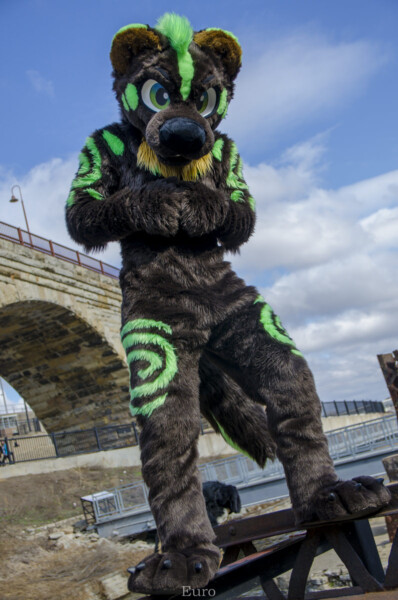 028_Fursuit Romp Mar 19 2016-578