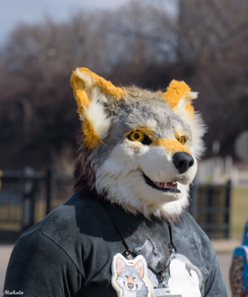 053_M7D_2615
