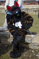 062_Fursuit Romp Mar 19 2016-225 