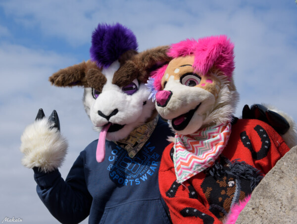 086_M7D_2484