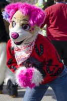 094_Fursuit Romp Mar 19 2016-176 