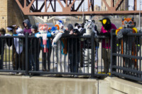 112_Fursuit Romp Mar 19 2016-412 