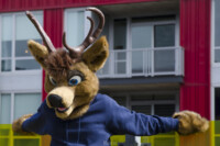 114_Fursuit Romp Mar 19 2016-030 