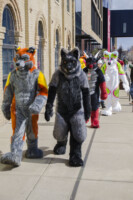 127_Fursuit Romp Mar 19 2016-178 