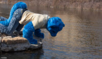 128_M7D_2695 