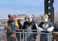 130_M7D_2745 