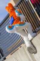 131_Fursuit Romp Mar 19 2016-608 