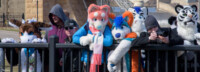 134_M7D_2601 