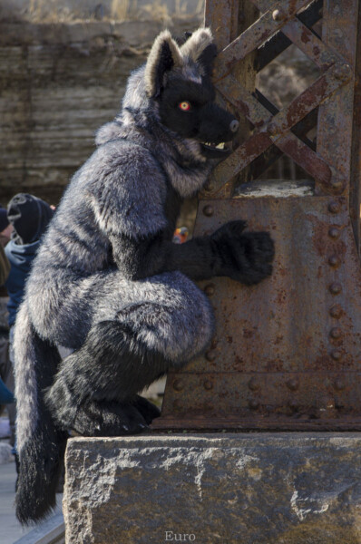 136_Fursuit Romp Mar 19 2016-547