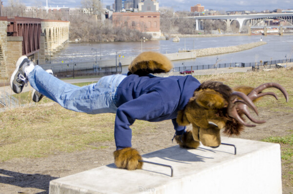 140_Fursuit Romp Mar 19 2016-648